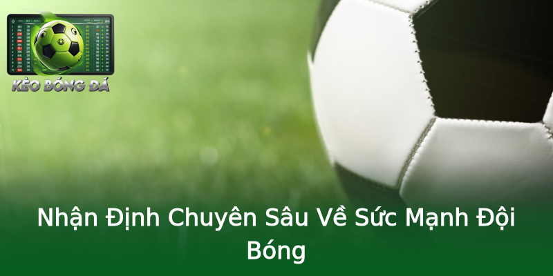 Nhận Định Chuyên Sâu Về Sức Mạnh Đội Bóng Nhận Định Chuyên Sâu Về Sức Mạnh Đội Bóng
