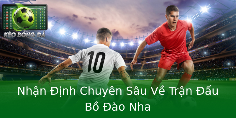 Nhận Định Chuyên Sâu Về Trận Đấu Bồ Đào Nha Nhận Định Chuyên Sâu Về Trận Đấu Bồ Đào Nha