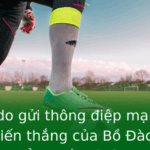 Ronaldo gửi thông điệp mạnh mẽ sau chiến thắng của Bồ Đào Nha - Phân tích đẳng cấp và ý nghĩa chiến thắng 2 Ronaldo Gui Thong Iep Manh Me Sau Chien Thang Cua Bo Ao Nha Phan Tich Ang Cap Va Y Nghia Chien Thang