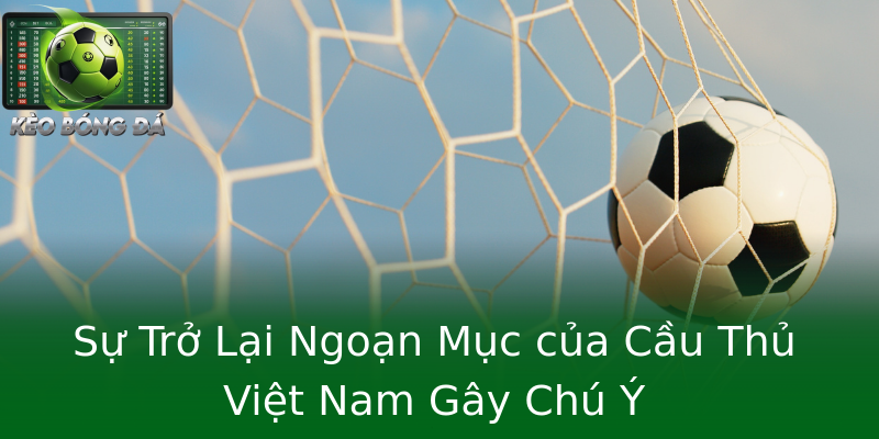 Sự Trở Lại Ngoạn Mục của Cầu Thủ Việt Nam Gây Chú Ý Sự Trở Lại Ngoạn Mục của Cầu Thủ Việt Nam Gây Chú Ý