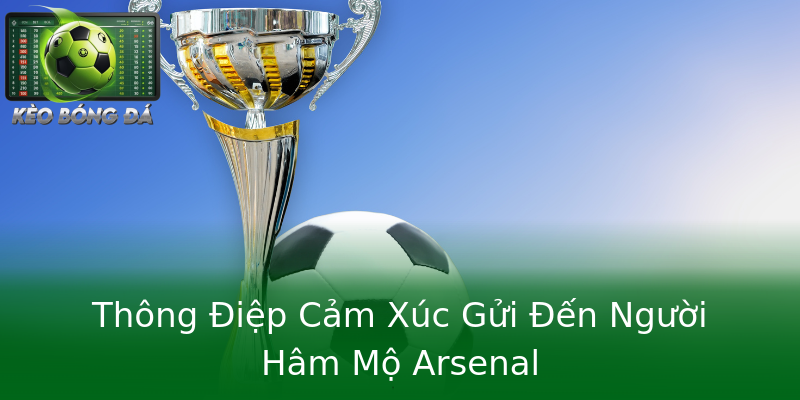Thông Điệp Cảm Xúc Gửi Đến Người Hâm Mộ Arsenal Thông Điệp Cảm Xúc Gửi Đến Người Hâm Mộ Arsenal