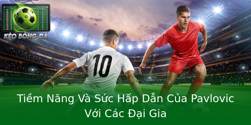 Tiềm Năng Và Sức Hấp Dẫn Của Pavlovic Với Các Đại Gia Tiềm Năng Và Sức Hấp Dẫn Của Pavlovic Với Các Đại Gia