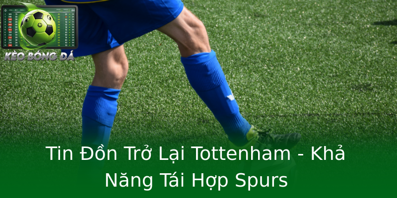 Tin Đồn Trở Lại Tottenham - Khả Năng Tái Hợp Spurs Tin Đồn Trở Lại Tottenham - Khả Năng Tái Hợp Spurs