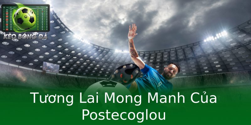 Tương Lai Mong Manh Của Postecoglou Tương Lai Mong Manh Của Postecoglou